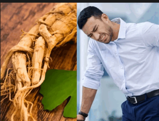 Herbs That Treat Weak Erections In Men