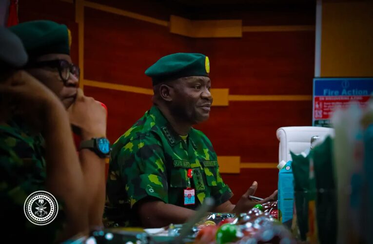 ACF hails defence chief’s visit to Niger Republic