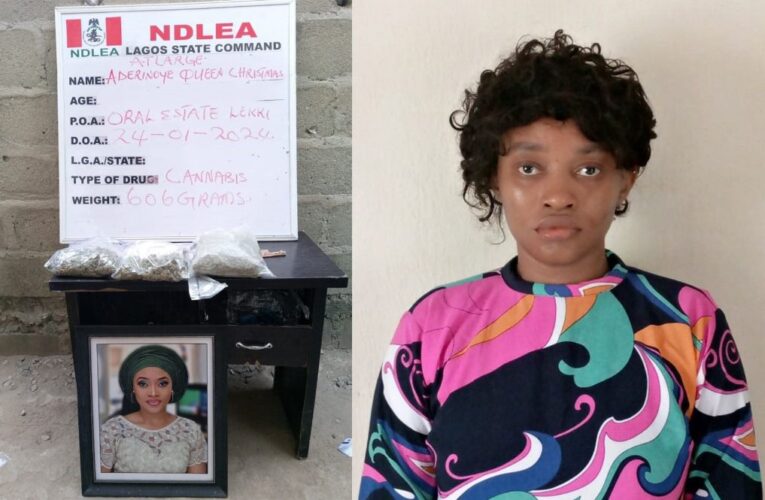 Ex-beauty queen declared wanted for drug offence surrenders to NDLEA
