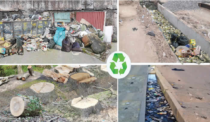 Experts express concerns over environmental degradation consequences