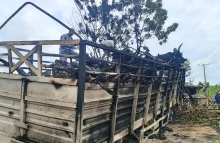 Niger, Oyo tanker explosions painful, disheartening — Obi