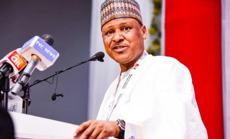 Nigeria, Indonesia to strengthen bilateral relations