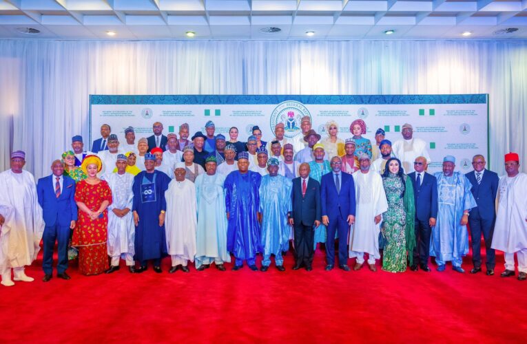 One year of Tinubu’s ministers