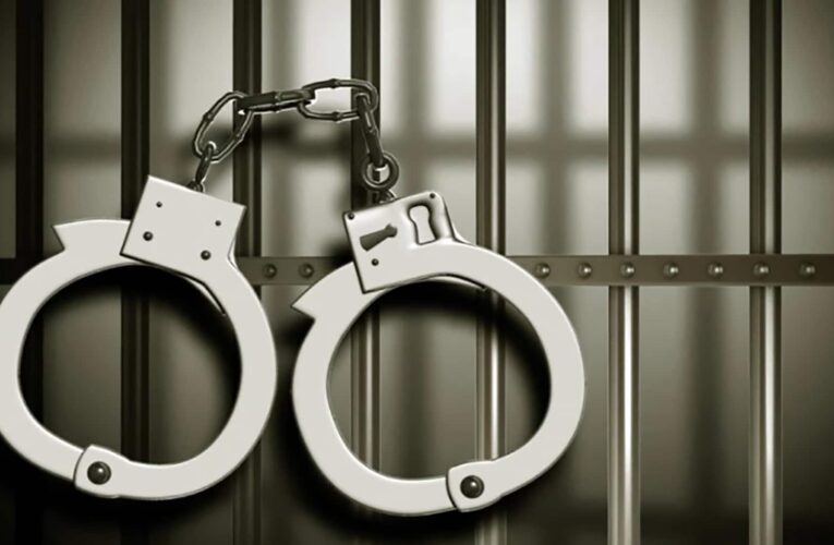 Police nab Jigawa man for fraud, motorbike theft, animal rustling 