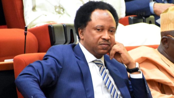 Shehu Sani Opposes Renaming of Abuja Conference Centre After Tinubu