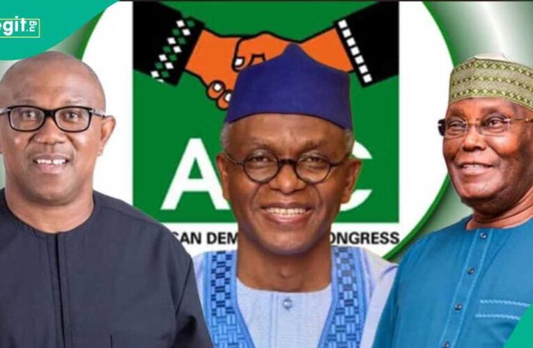 “How ADC Coalition Is Uniting Politicians From Various Backgrounds, Ideologies,” Analyst Explains