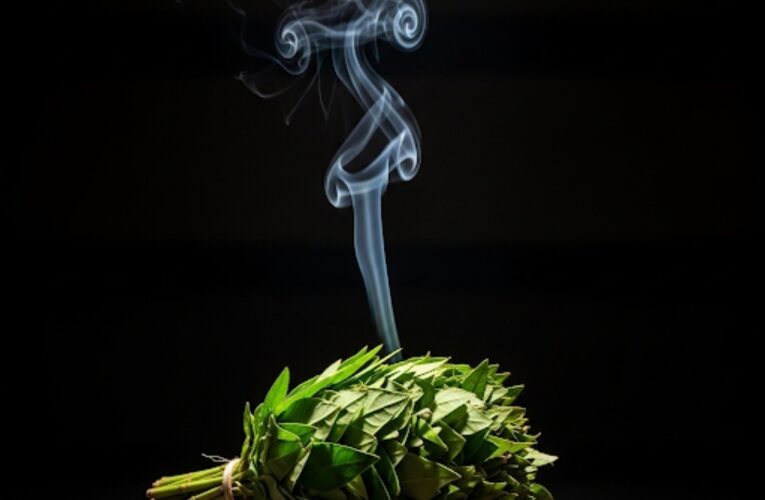 Burn Scent Leaf in Your Room for 3 Nights — What Happens on the 4th Will Surprise You