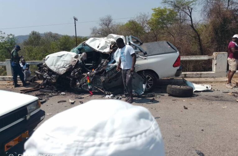 Zanu PF youths killed in car crash en route to Mnangagwa’s birthday bash 