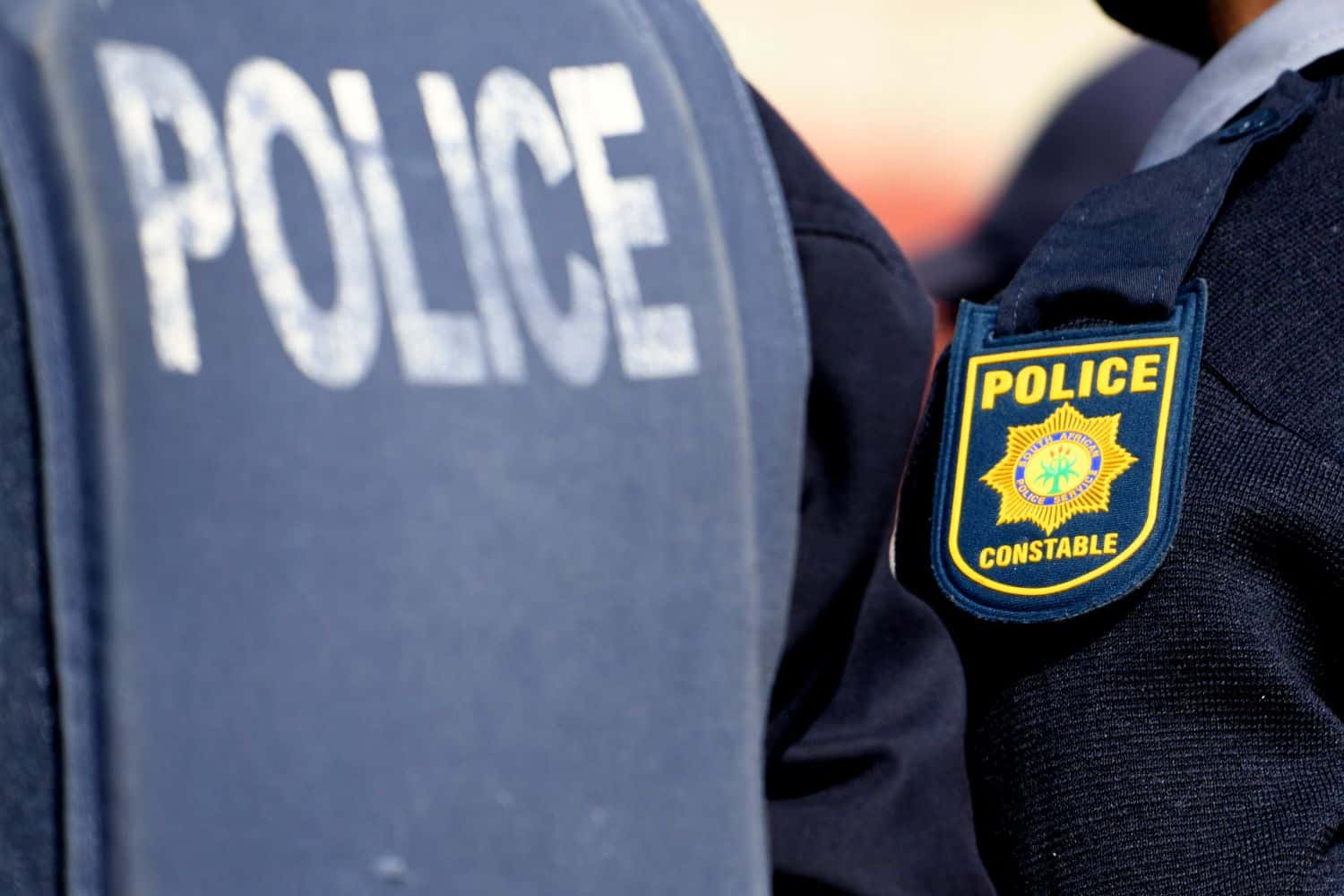 Saps Crime Intelligence official denied security clearance over past conviction, court hears